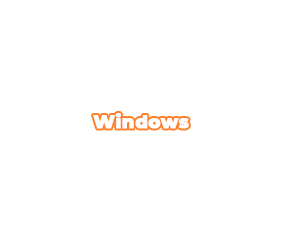 NE MI Window Home Inspection Services